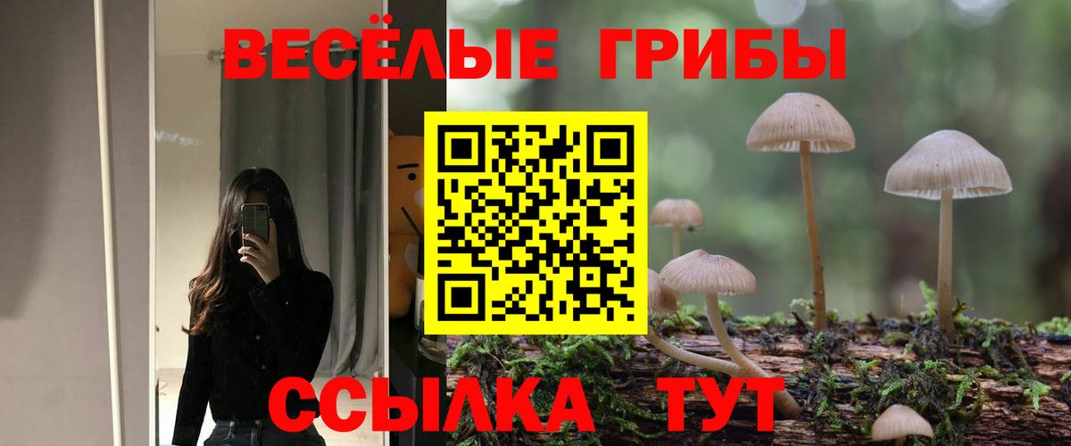 Псилоцибиновые грибы мухоморы  Вход с VPN  наркошоп  Уссурийск 